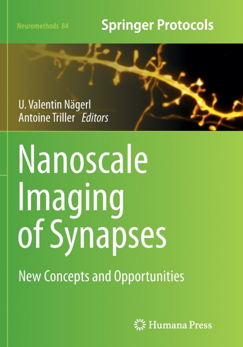 Nanoscale Imaging of Synapses