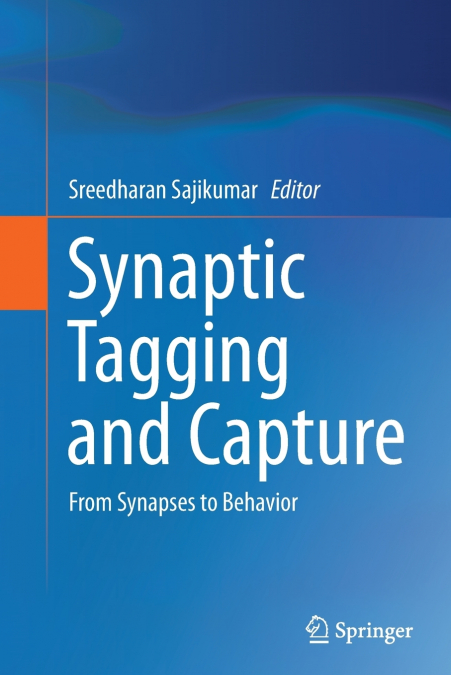 Synaptic Tagging and Capture