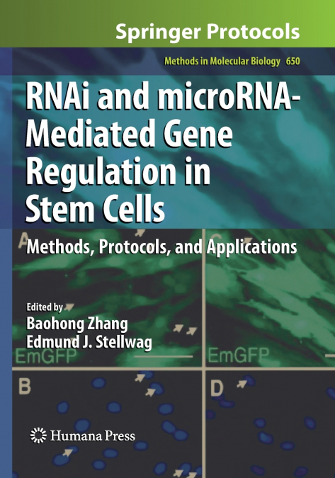 RNAi and microRNA-Mediated Gene Regulation in Stem Cells