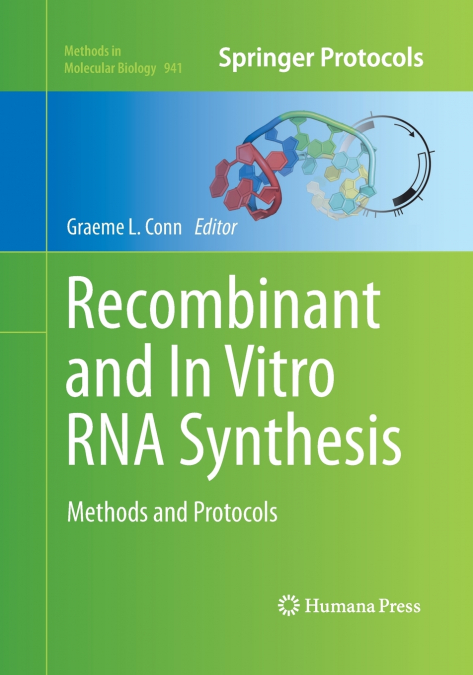Recombinant and In Vitro RNA Synthesis