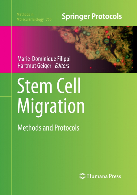 Stem Cell Migration