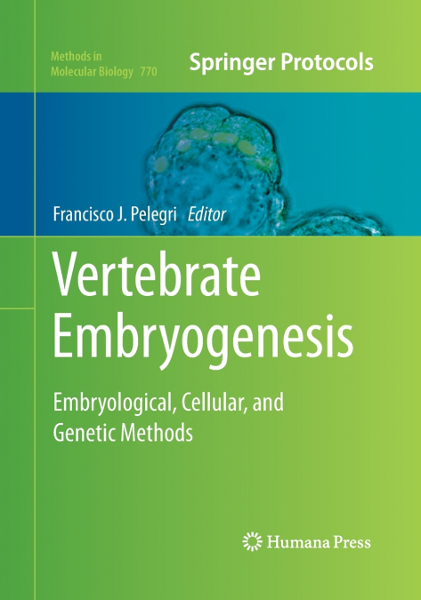 Vertebrate Embryogenesis