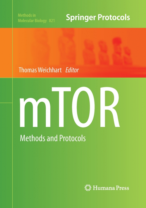 mTOR
