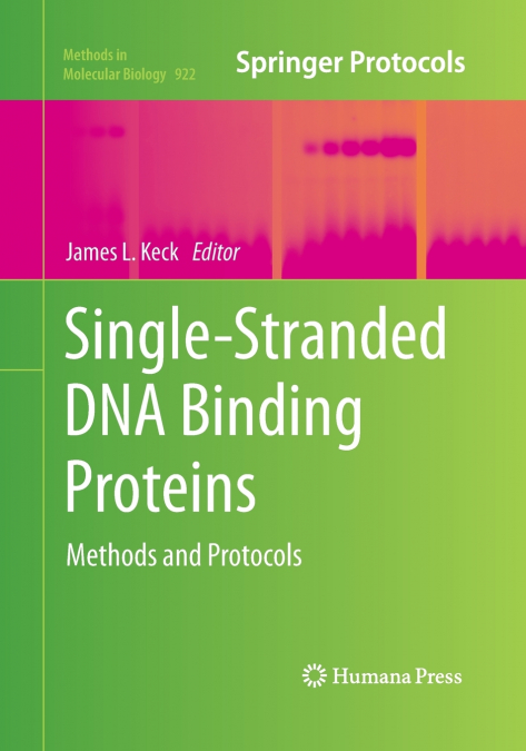 Single-Stranded DNA Binding Proteins