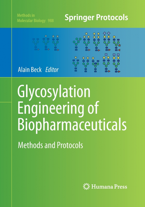 Glycosylation Engineering of Biopharmaceuticals