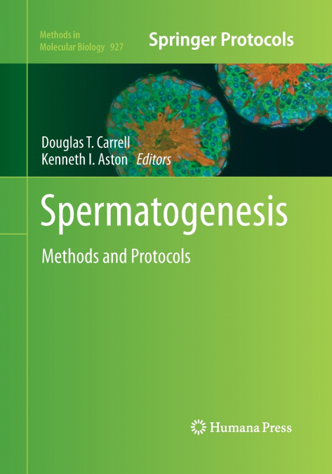 Spermatogenesis