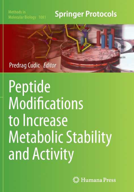 Peptide Modifications to Increase Metabolic Stability and Activity
