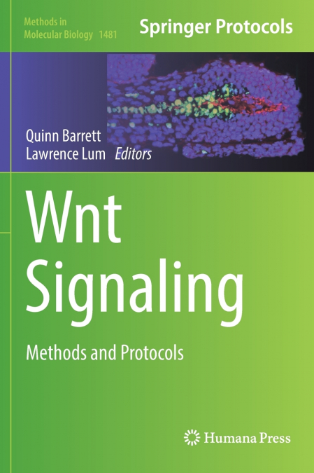 Wnt Signaling