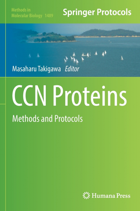 CCN Proteins