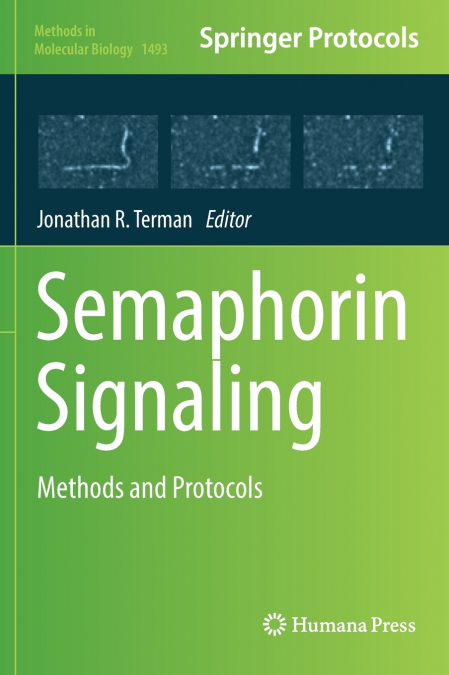 Semaphorin Signaling