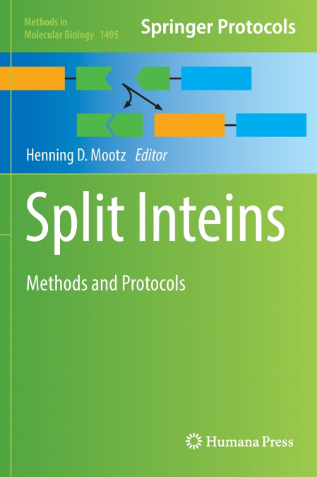 Split Inteins