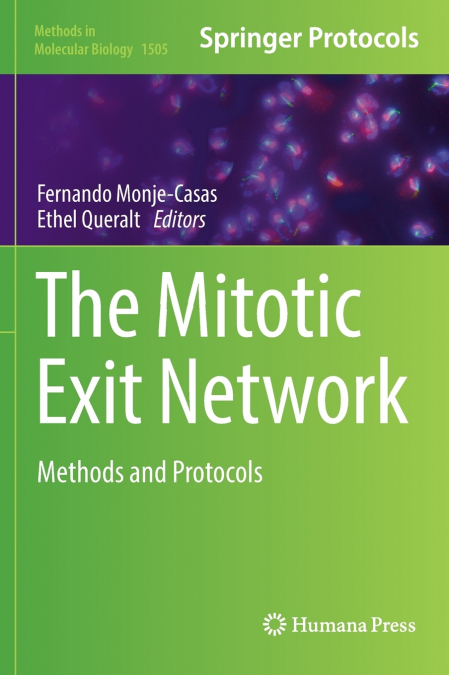The Mitotic Exit Network