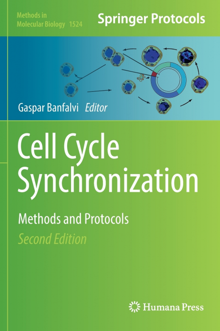Cell Cycle Synchronization