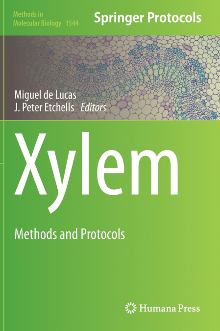 Xylem