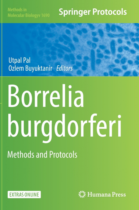 Borrelia burgdorferi