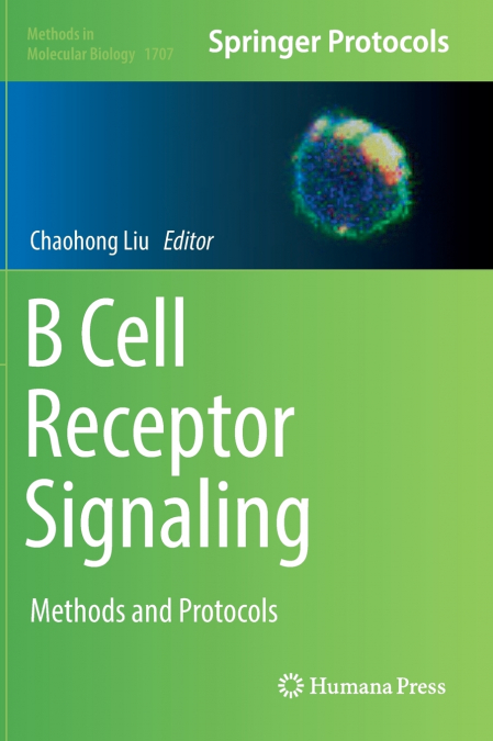 B Cell Receptor Signaling