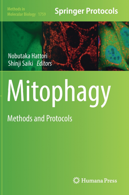 Mitophagy