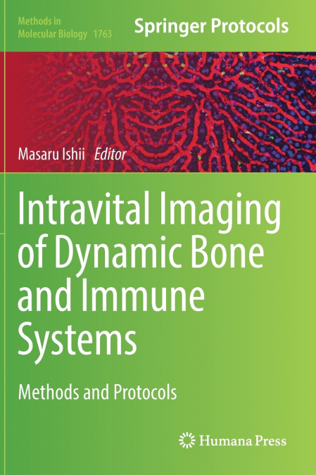 Intravital Imaging of Dynamic Bone and Immune Systems