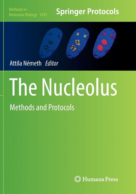 The Nucleolus
