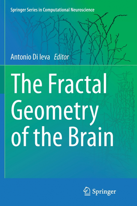 The Fractal Geometry of the Brain