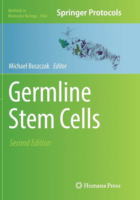 Germline Stem Cells