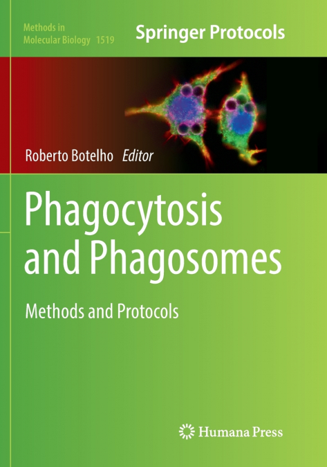 Phagocytosis and Phagosomes