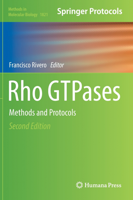Rho GTPases