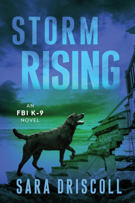 Storm Rising