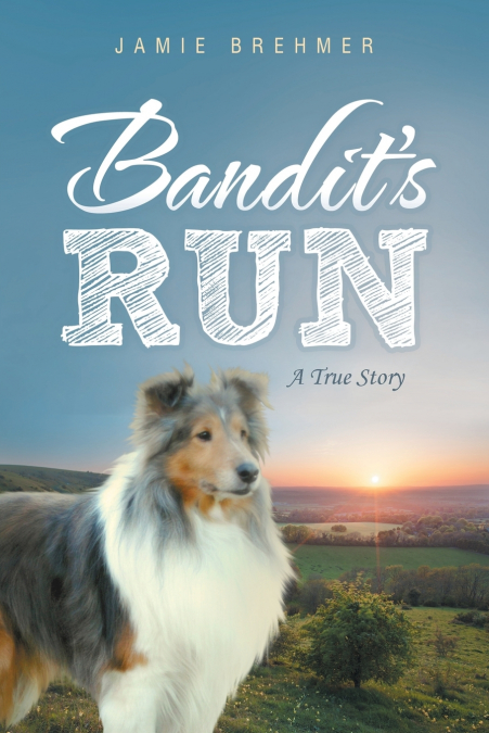 Bandit’s Run