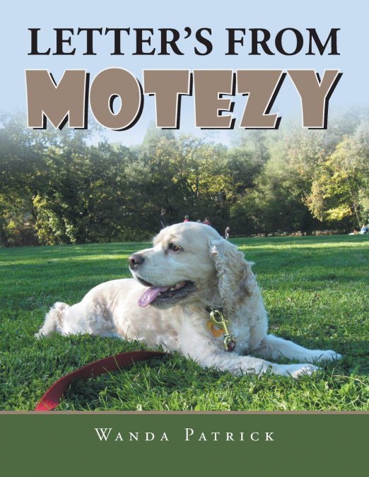 LETTER’S FROM MOTEZY