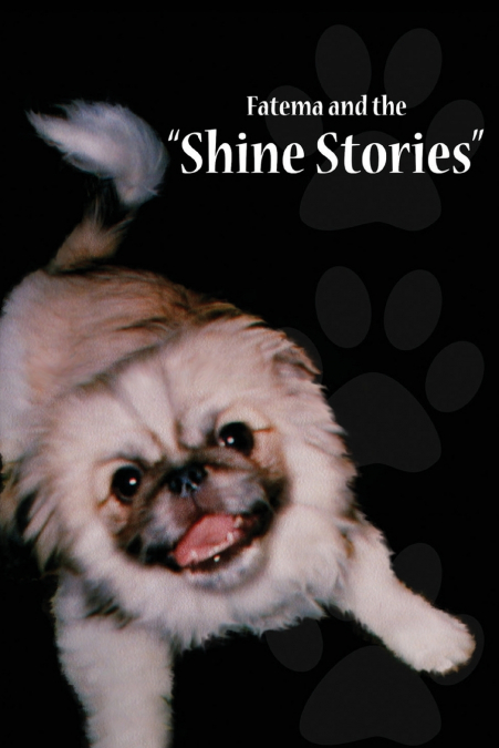 Fatema and the  Shine Stories