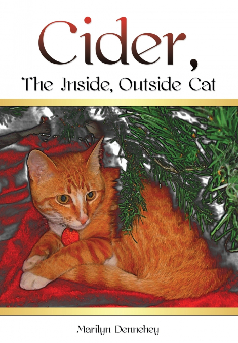 Cider, The Inside, Outside Cat