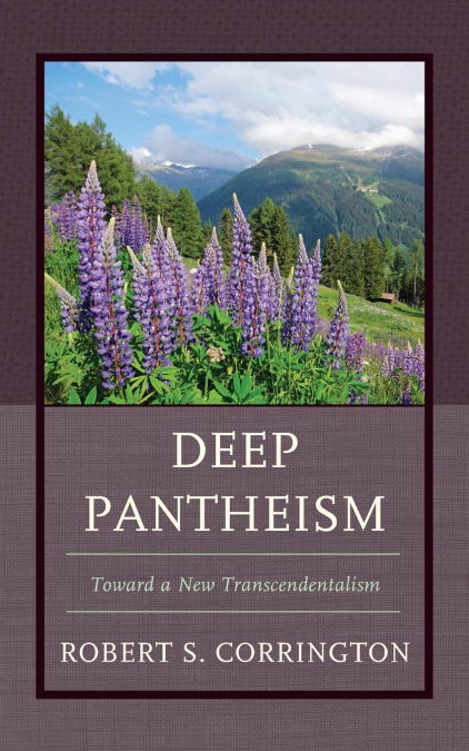 Deep Pantheism