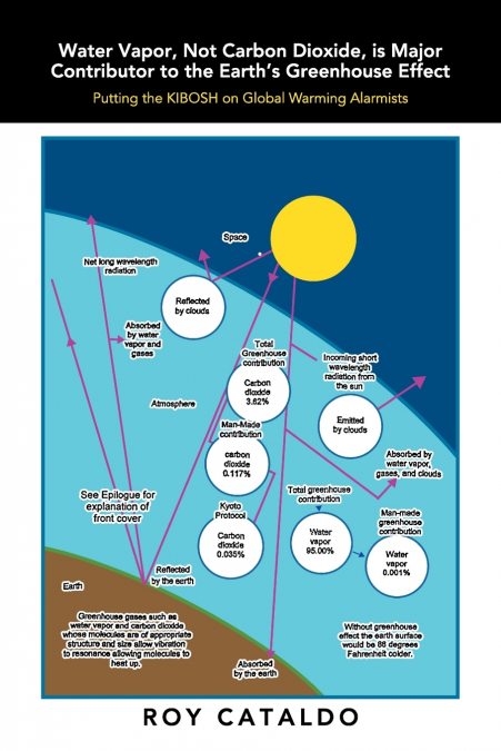 Water Vapor, Not Carbon Dioxide, Is Major Contributor to the Earth’s Greenhouse Effect