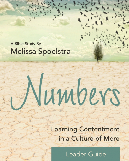 Numbers - Women’s Bible Study Leader Guide