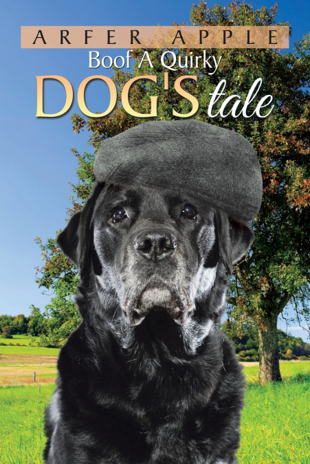 Boof A Quirky Dog’s Tale