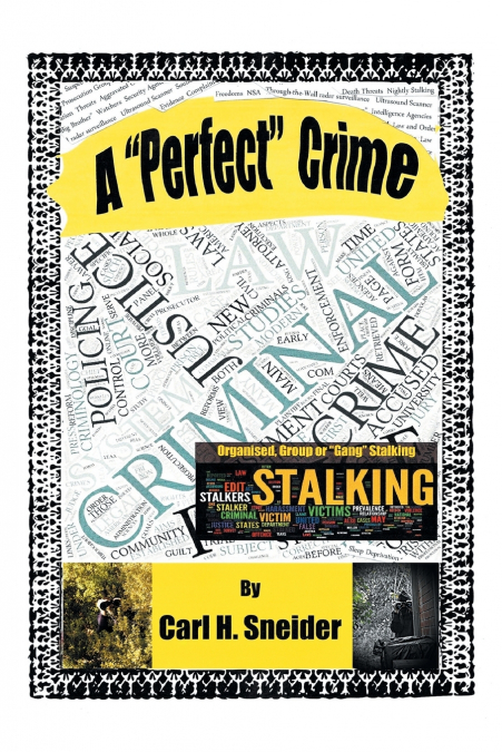 A 'Perfect' Crime
