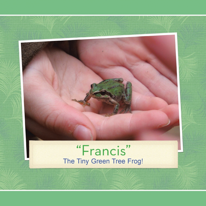 'Francis'