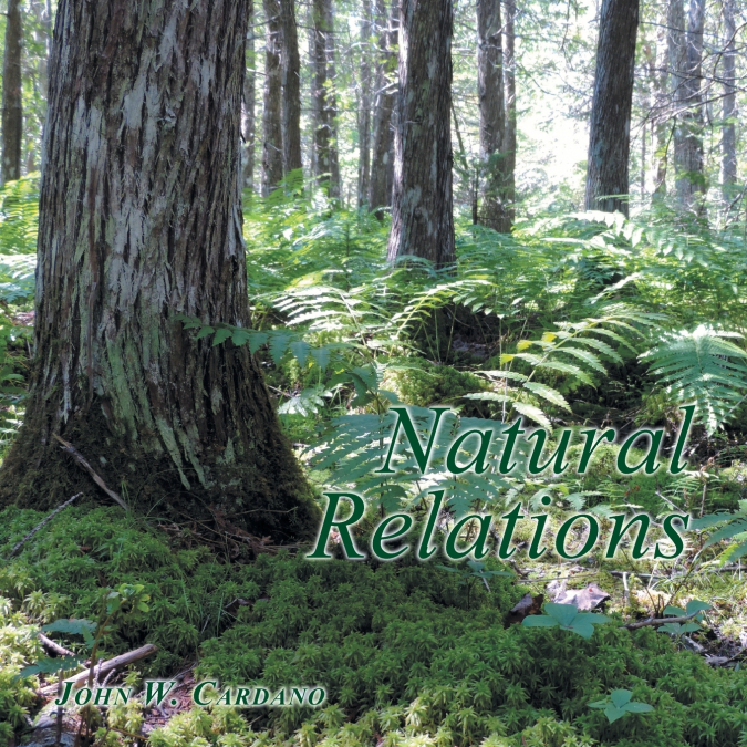 Natural Relations