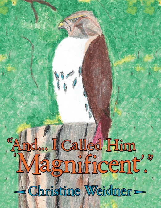'And... I Called Him ’Magnificent’.'