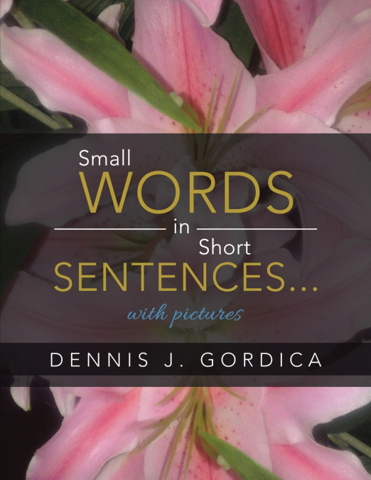 Small Words in Short Sentences...with pictures