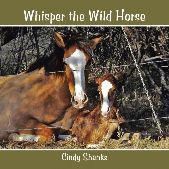 Whisper the Wild Horse
