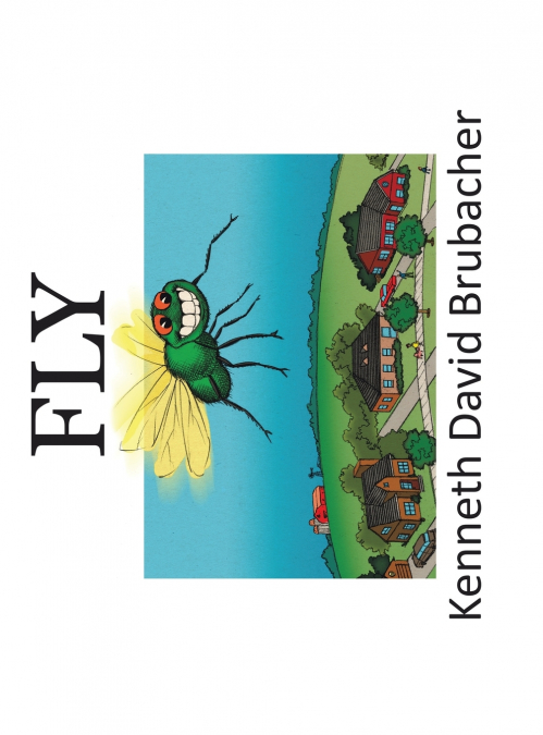 Fly