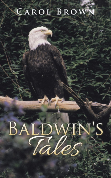 Baldwin’s Tales