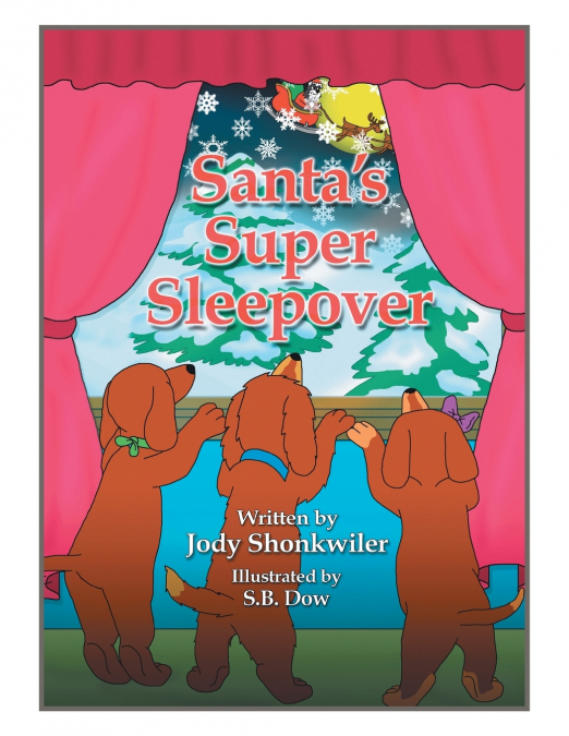 Santa’s Super Sleepover