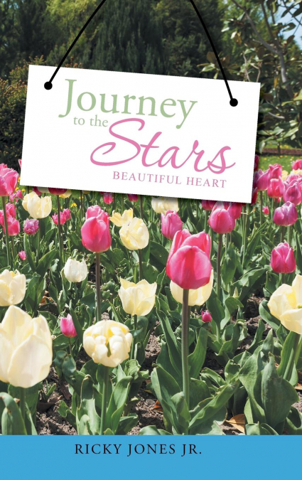 Journey to the Stars