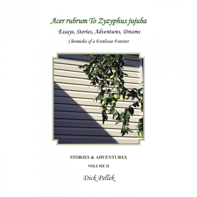 Acer rubrum To Zyzyphus jujuba