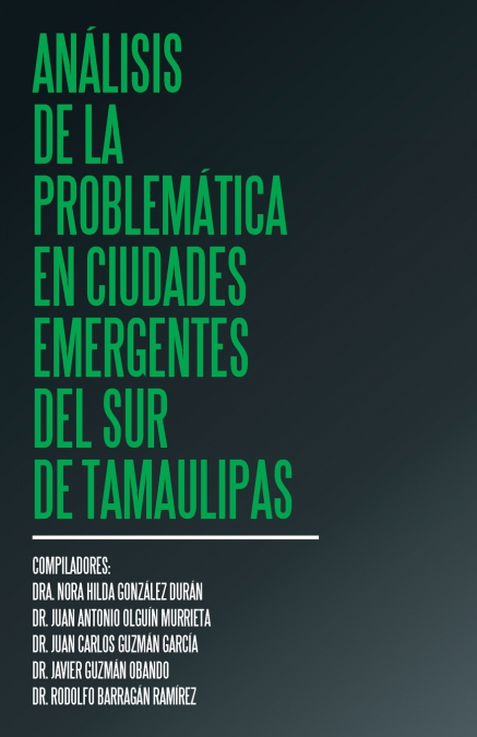 Análisis de la problemática en ciudades emergentes del sur de Tamaulipas