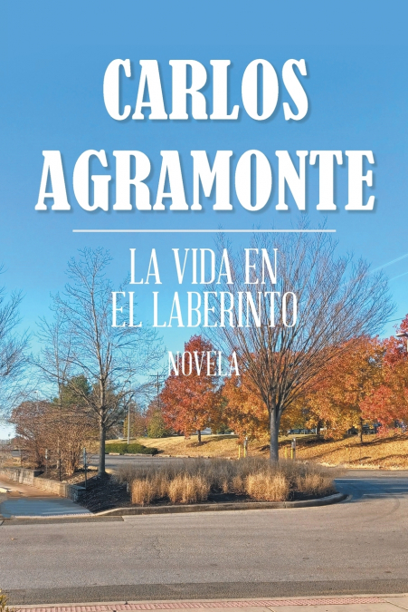 LA VIDA EN EL LABERINTO
