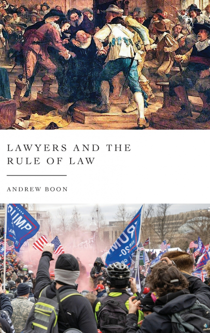 Lawyers and the Rule of Law